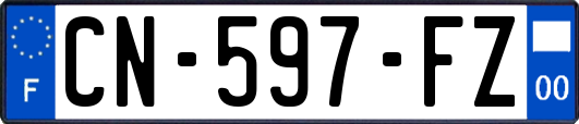 CN-597-FZ