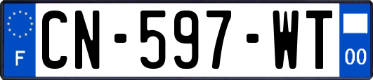 CN-597-WT