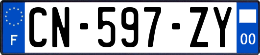 CN-597-ZY