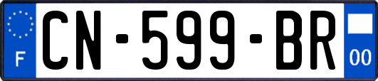 CN-599-BR