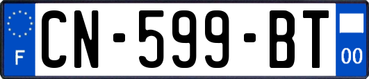 CN-599-BT