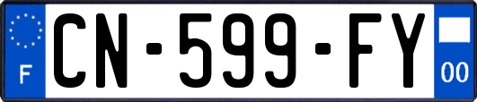 CN-599-FY