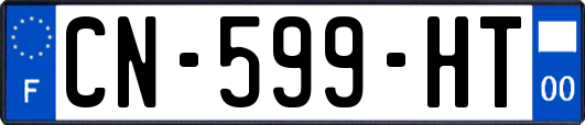 CN-599-HT