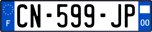 CN-599-JP