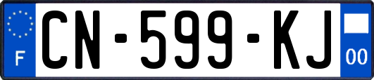 CN-599-KJ