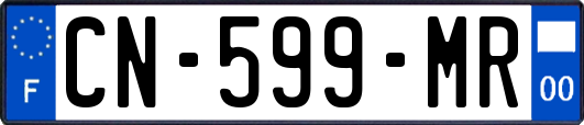 CN-599-MR