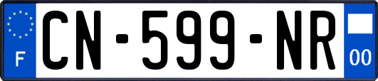 CN-599-NR