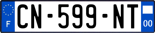 CN-599-NT