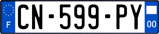 CN-599-PY