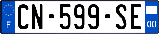CN-599-SE