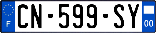 CN-599-SY