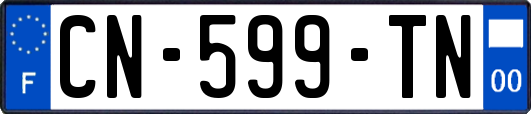 CN-599-TN