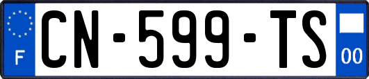 CN-599-TS