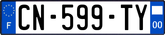 CN-599-TY