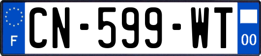 CN-599-WT
