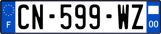 CN-599-WZ