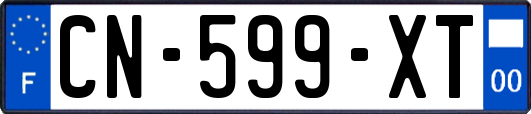 CN-599-XT