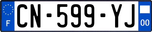 CN-599-YJ