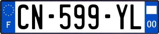 CN-599-YL