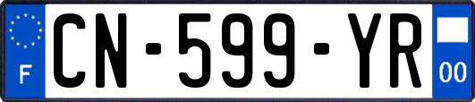 CN-599-YR