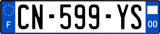 CN-599-YS