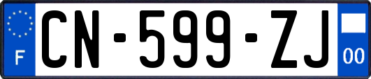 CN-599-ZJ