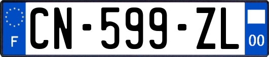 CN-599-ZL