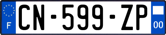 CN-599-ZP