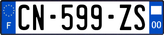 CN-599-ZS