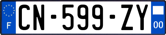 CN-599-ZY