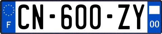 CN-600-ZY