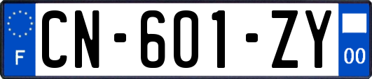 CN-601-ZY