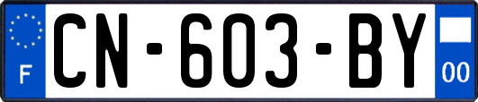 CN-603-BY