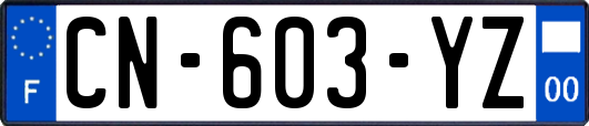 CN-603-YZ