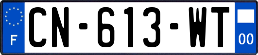CN-613-WT