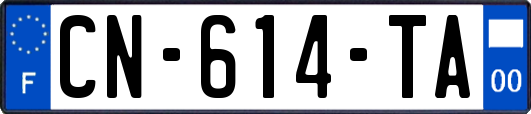 CN-614-TA