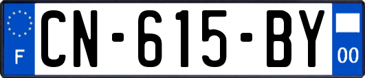 CN-615-BY