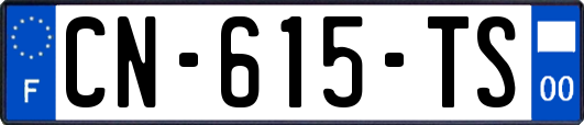 CN-615-TS
