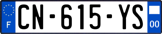 CN-615-YS