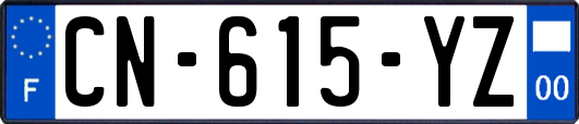 CN-615-YZ
