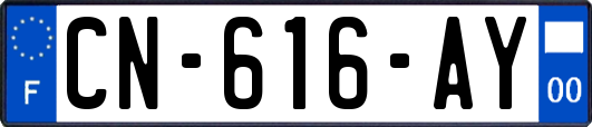 CN-616-AY