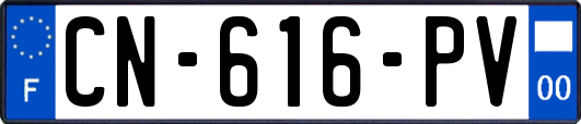 CN-616-PV