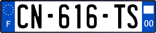 CN-616-TS