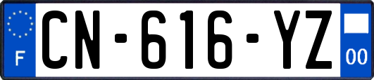 CN-616-YZ