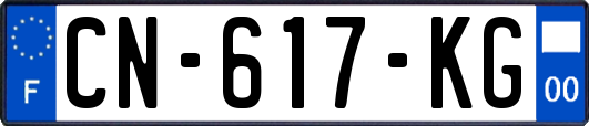 CN-617-KG