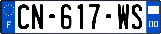 CN-617-WS