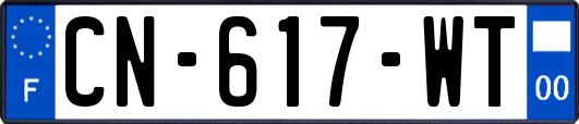 CN-617-WT