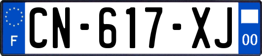 CN-617-XJ