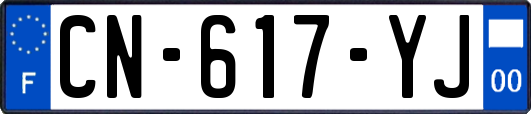 CN-617-YJ