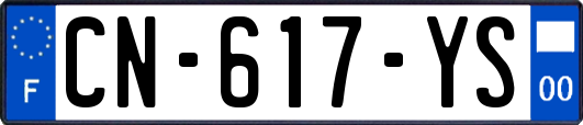 CN-617-YS
